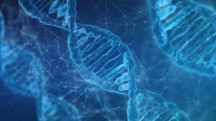 Sanction de 1,5 million d&rsquo;euros à l&rsquo;encontre de la société DEDALUS BIOLOGIE